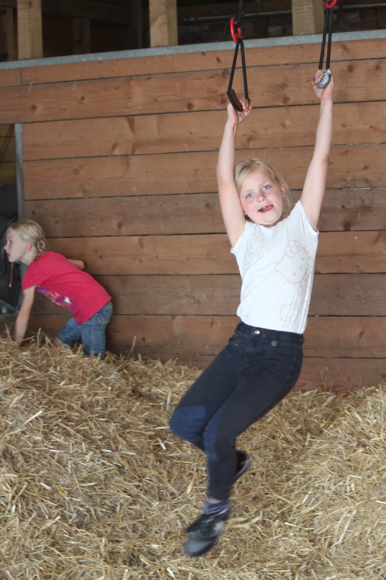 Toben im Stroh auf der Kleinen Farm und Co in Tostedt