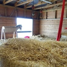 Strohscheune auf der Kleinen Farm und Co in Tostedt