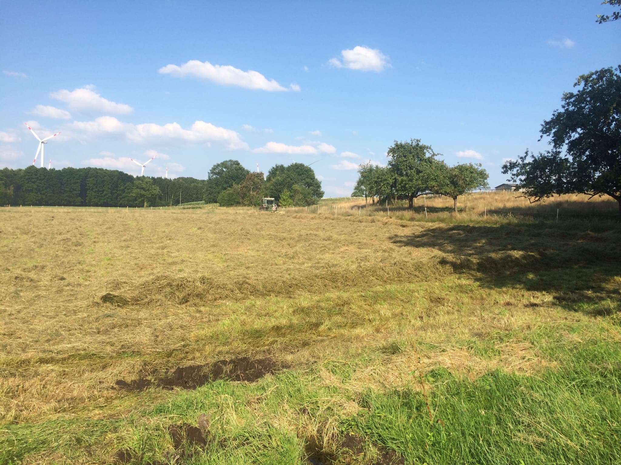Ferienhaus "Backhaus" im Grünen
