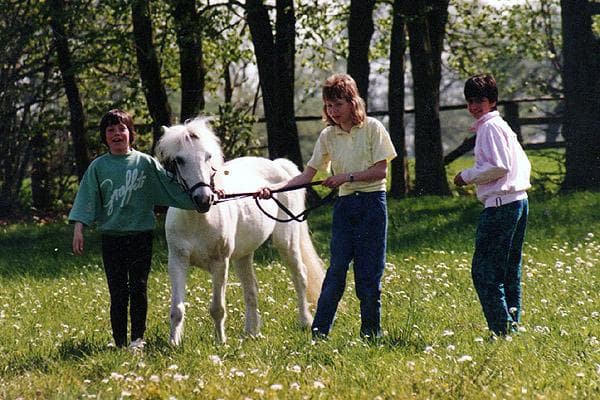 Ferienwohnung Reiterhof Bleckmar