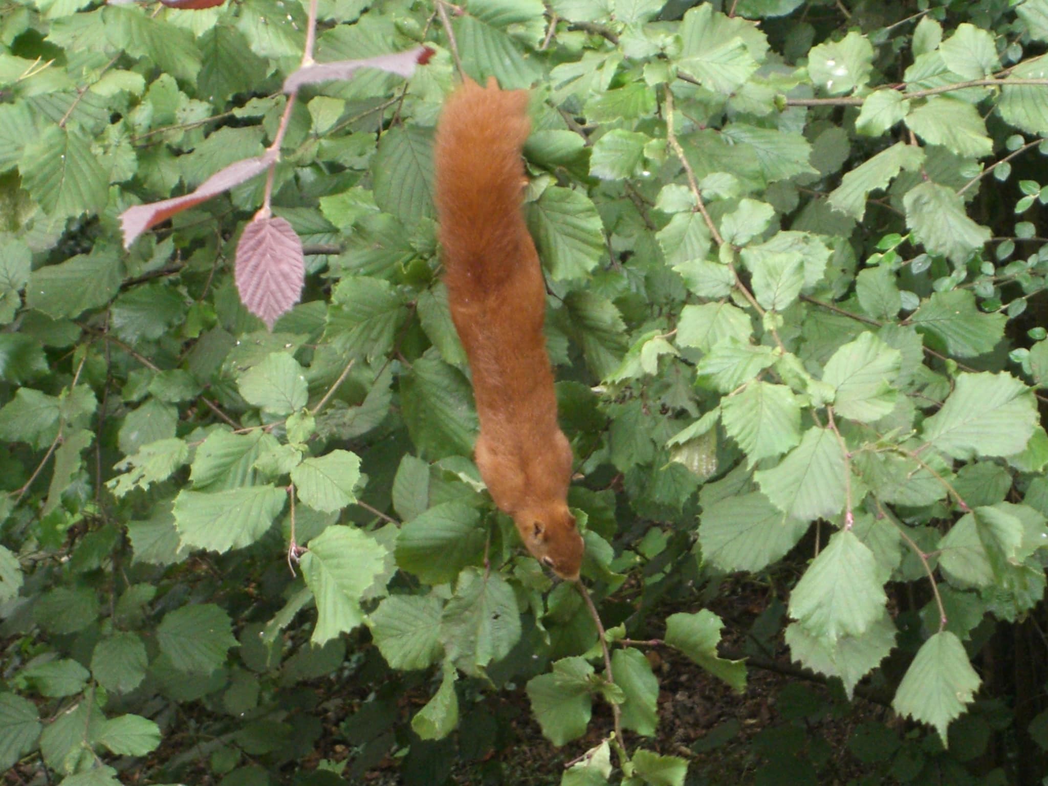 Ferienwohnung Am Hasenberg