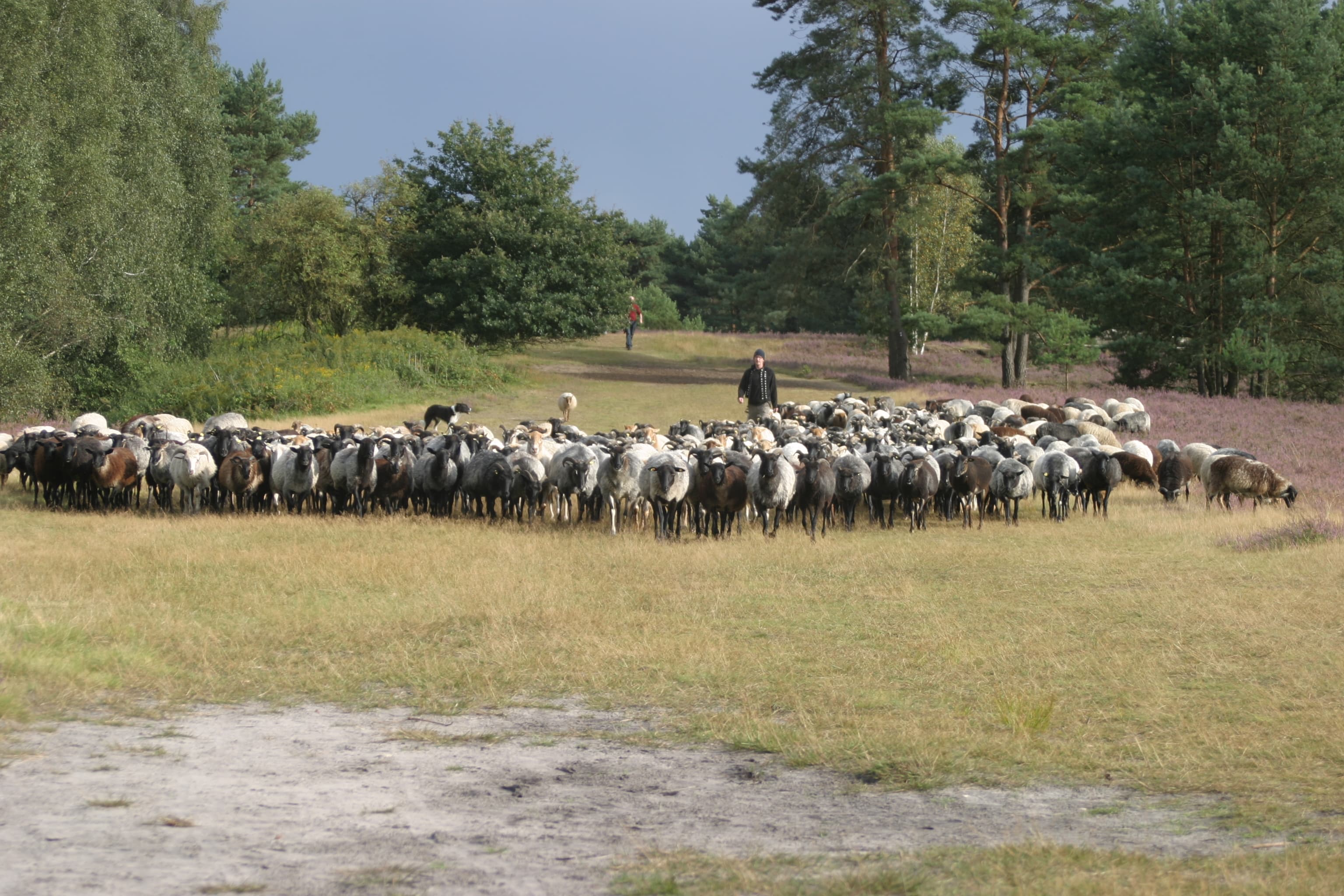 Ferienwohnung Am Hasenberg