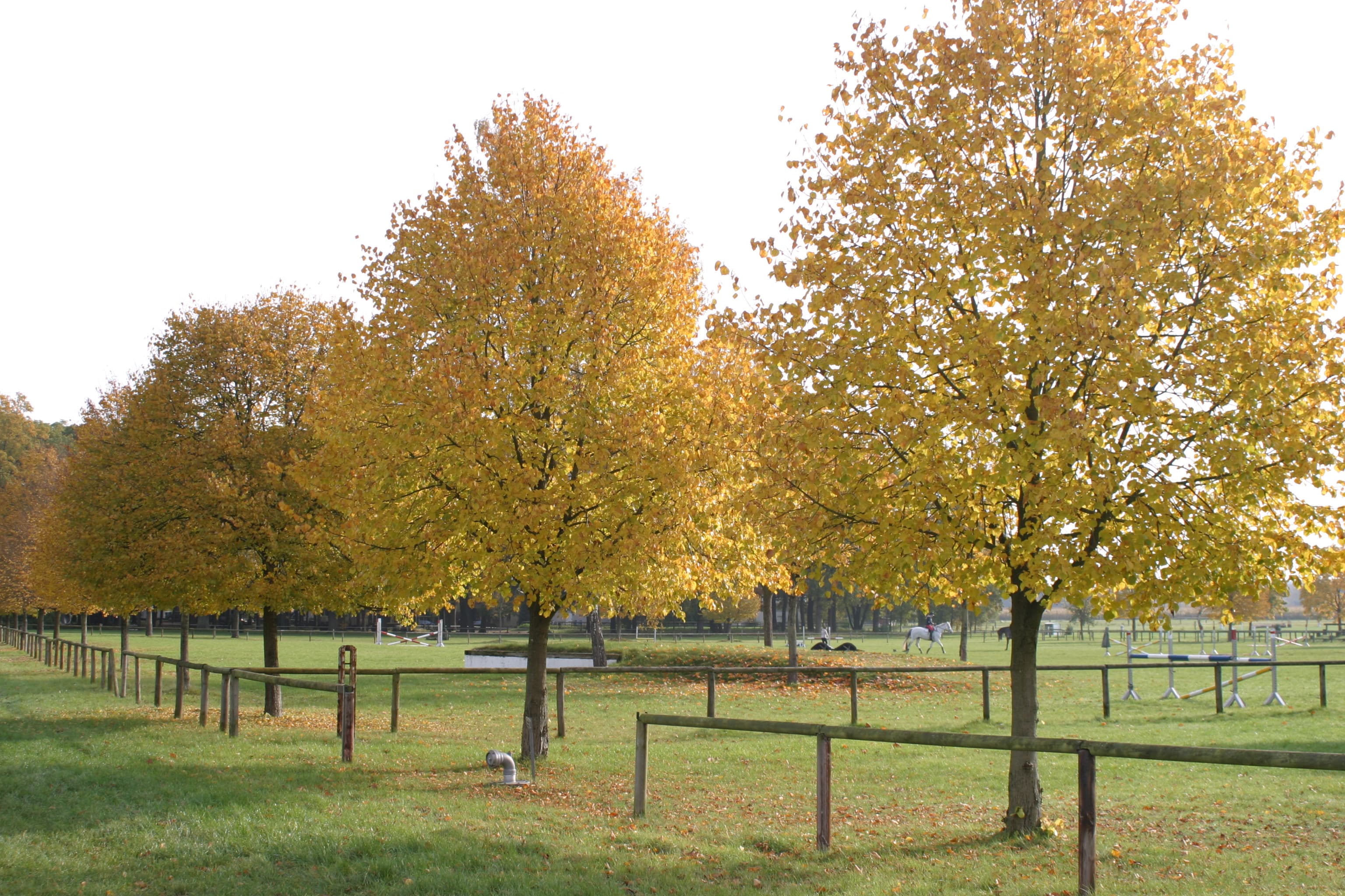 Ferienwohnung Am Hasenberg