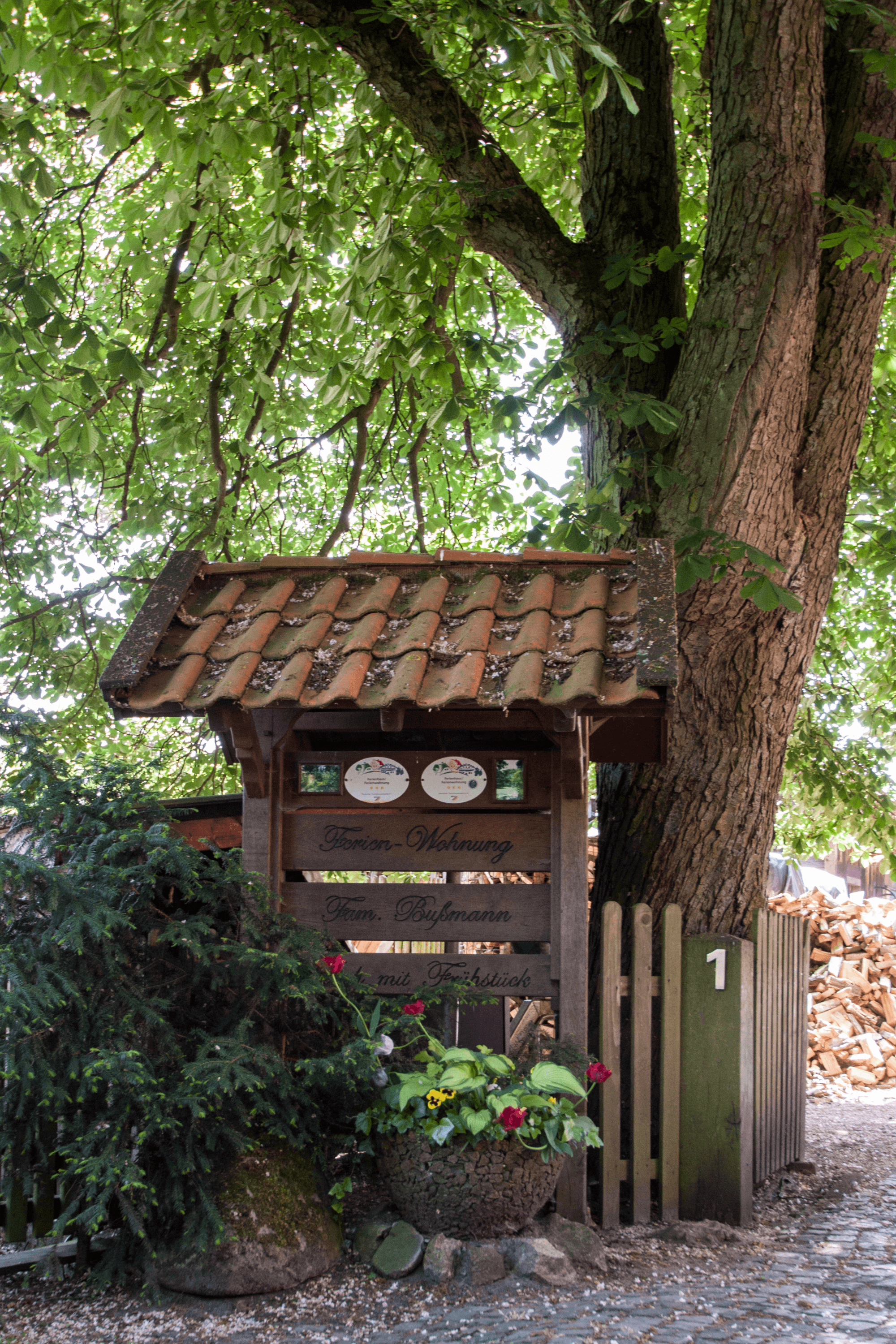 Auffahrt Ferienwohnung Bußmann