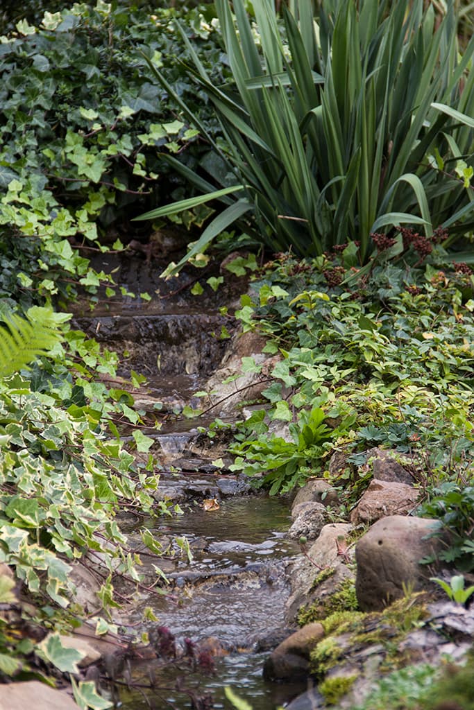 Garten Ferienwohnung Bußmann
