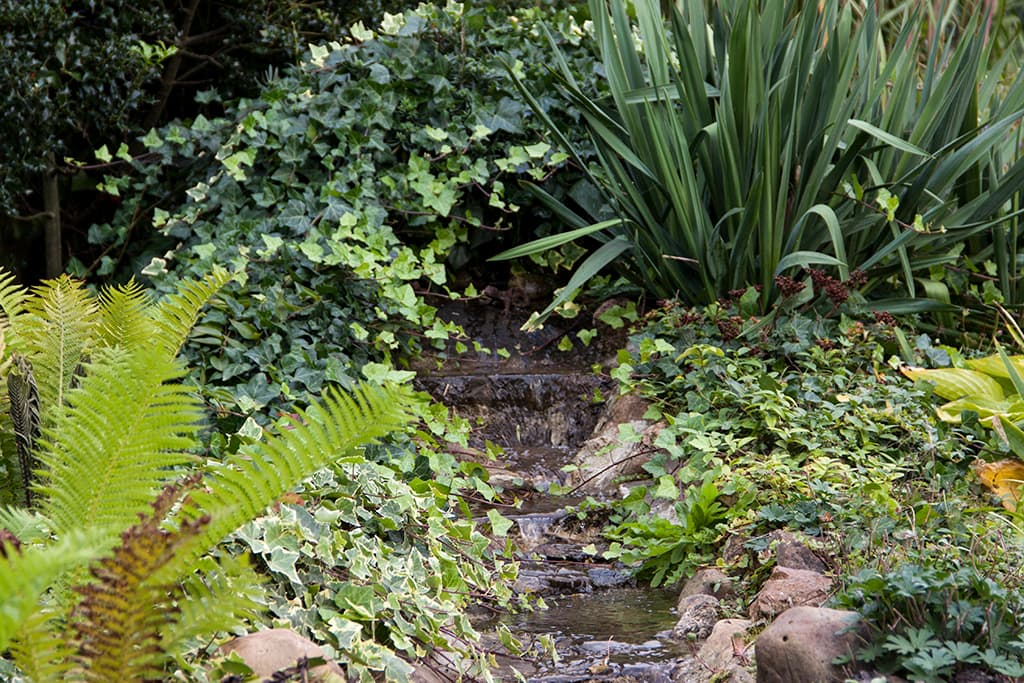 Garten Ferienwohnung Bußmann