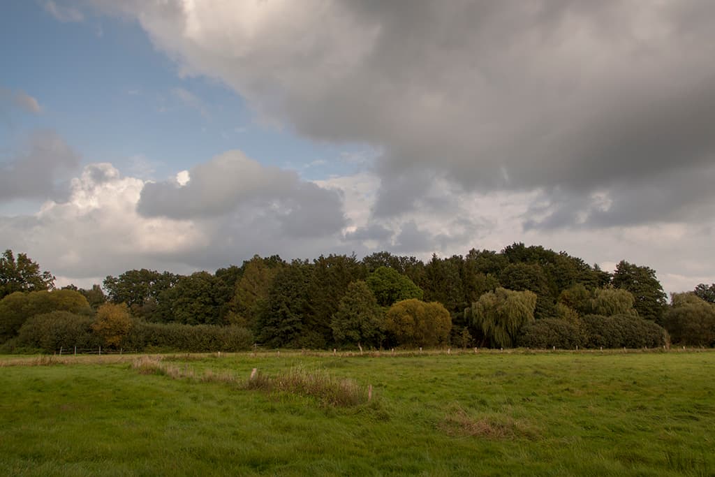 Blick über die Wiesen Ferienwohnung Bußmann