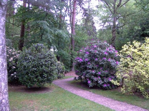 Ferienwohnung Holthusen