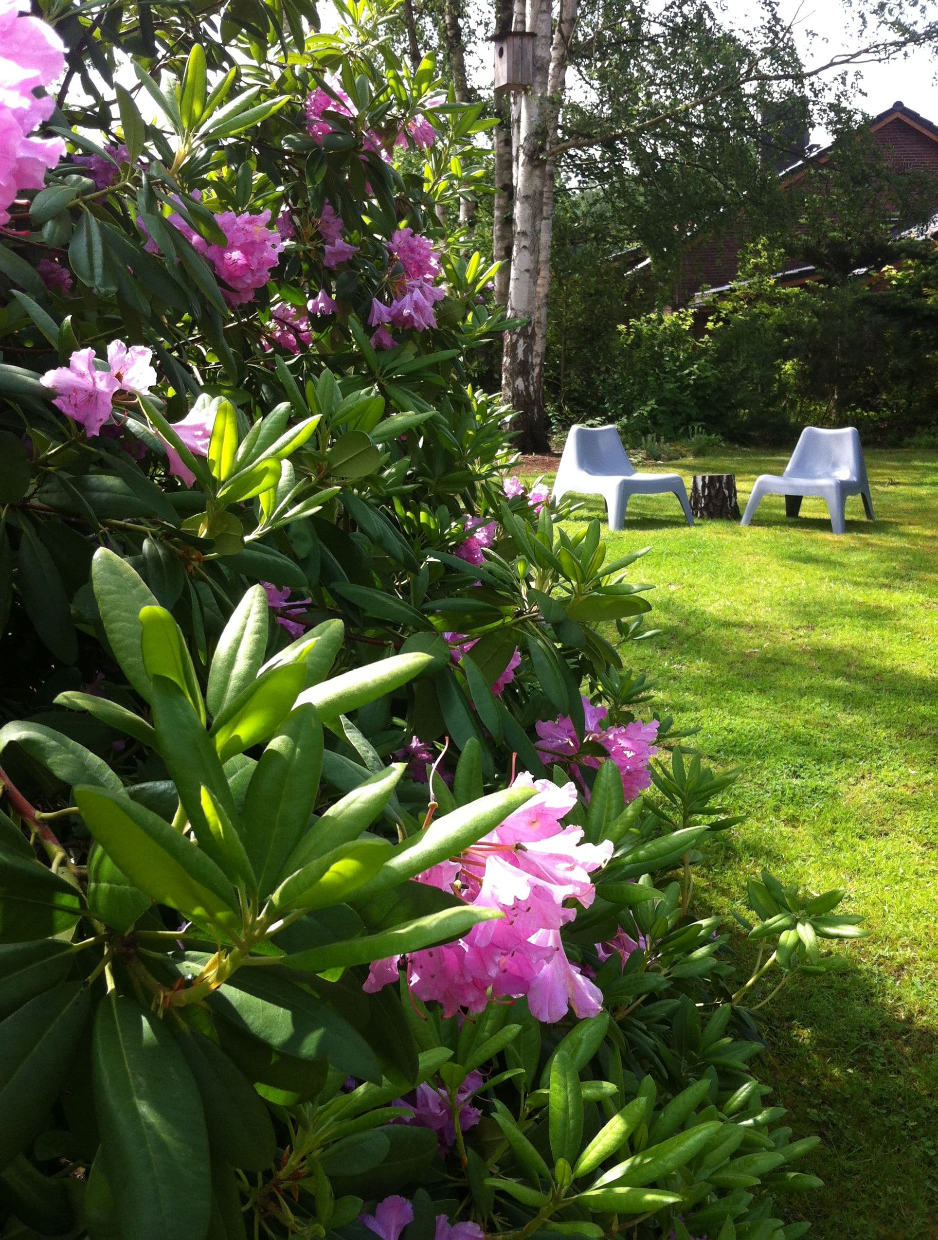 Garten des Ferienhaus Dat Huuske in Salzhausen