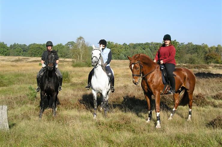 Reit-und Ferienhof Meningen