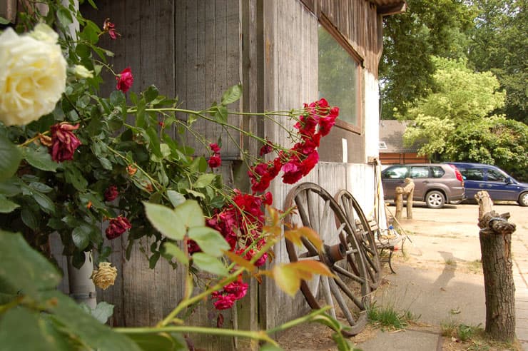 Reit-und Ferienhof Meningen