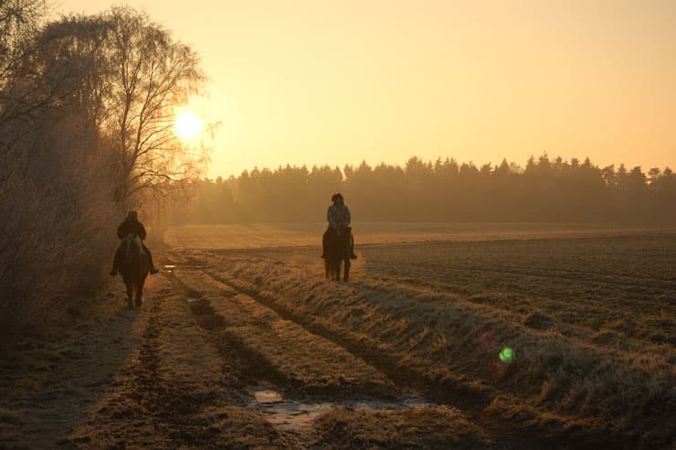 Reit-und Ferienhof Meningen
