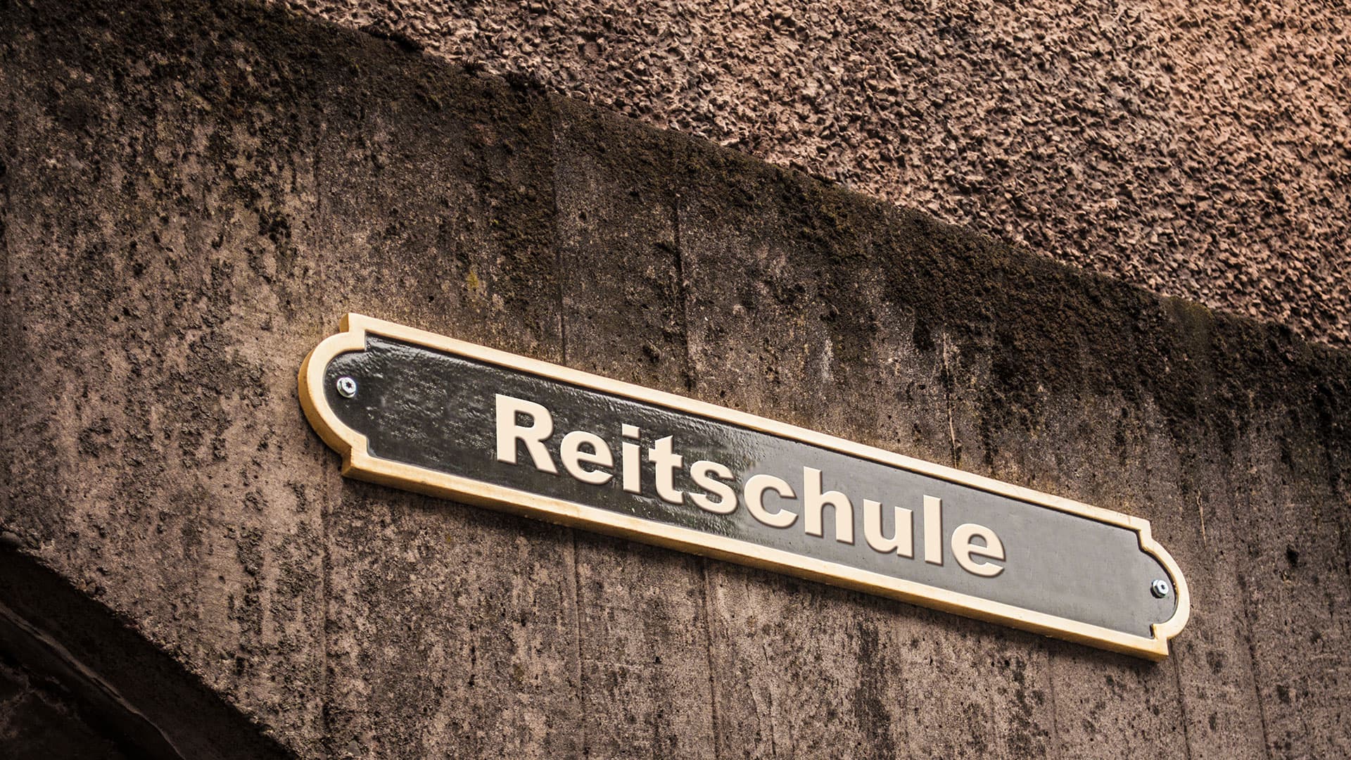 Ferienhaus auf dem Heinshof Reitschule