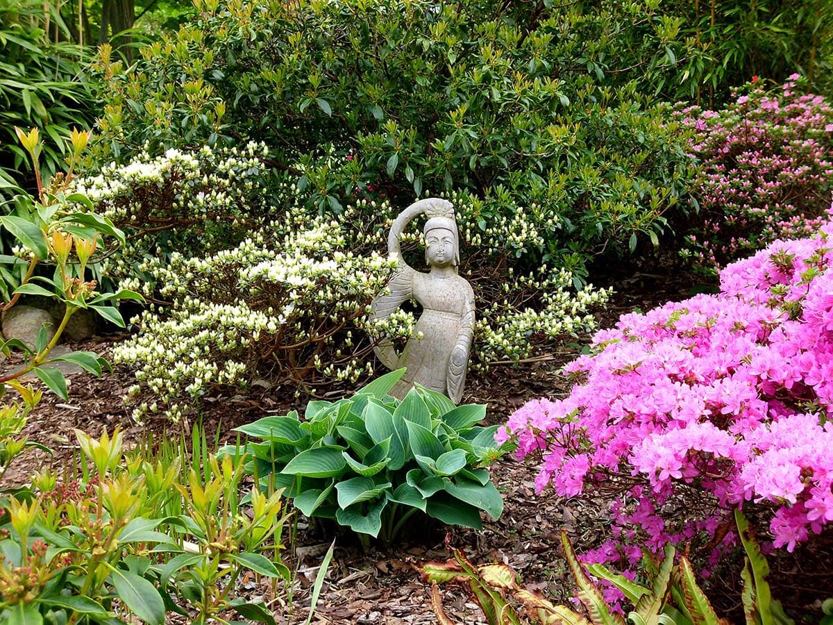 Garten der Ferienwohnung Am Heidepark in Bispingen