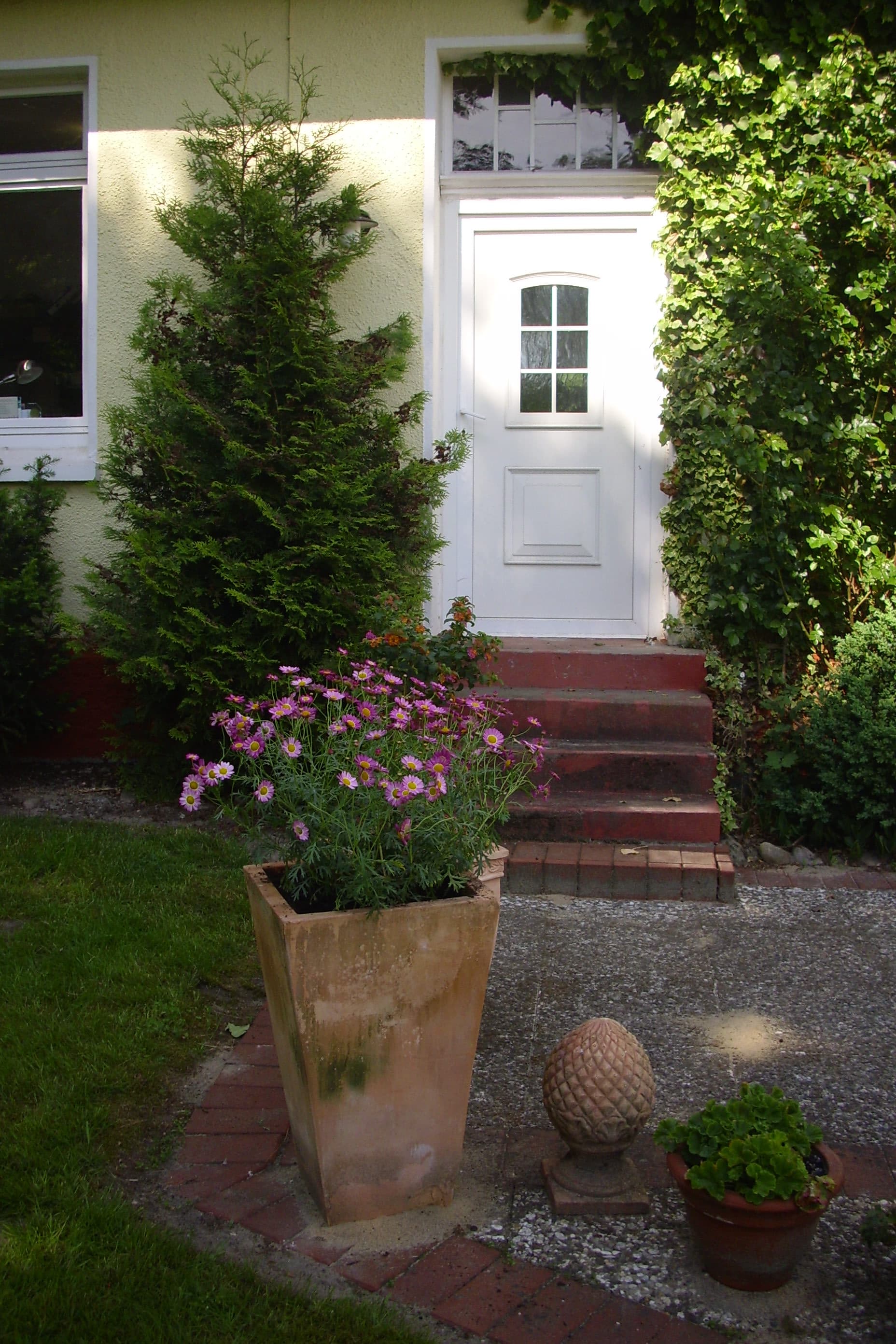 Tymnenhof Reitsportzentrum Südheide