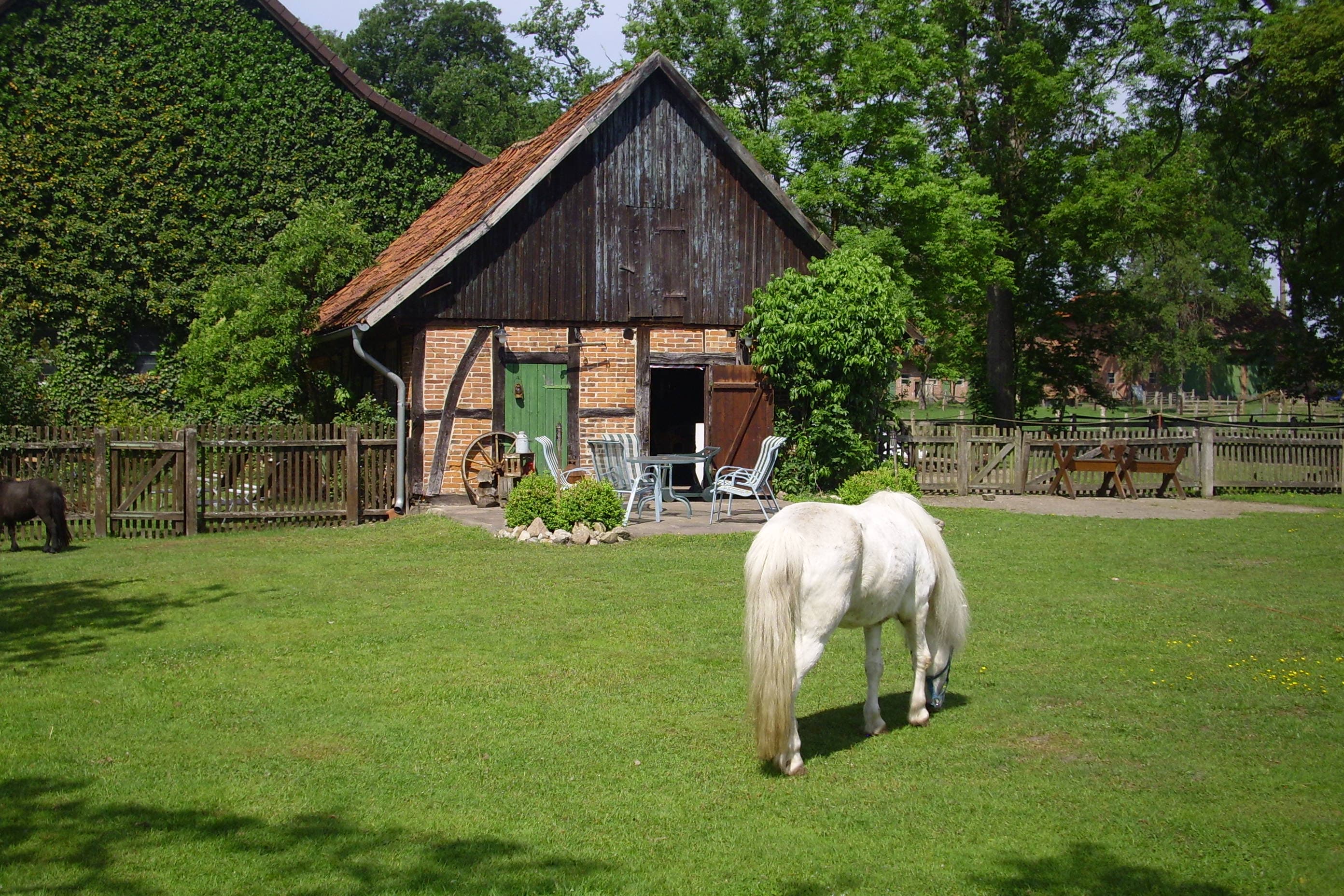 Tymnenhof Reitsportzentrum Südheide