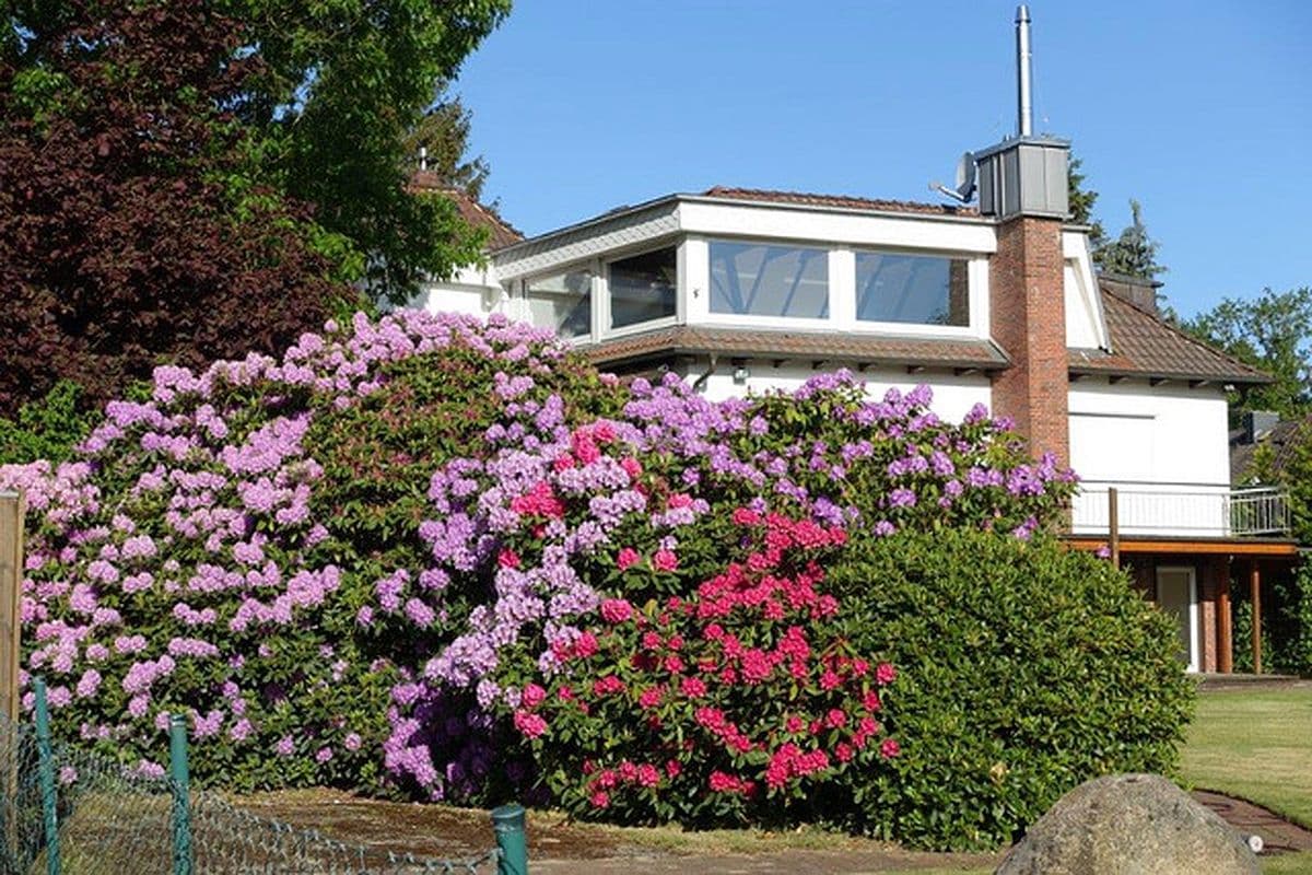 FeWo Im Auetal Garten