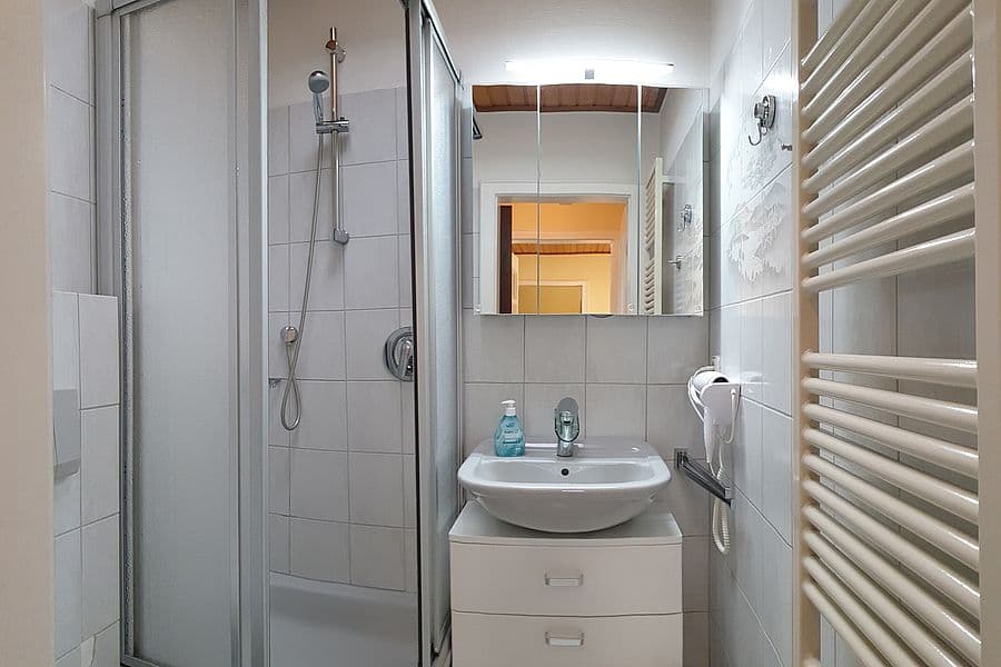 Bad mit Dusche in der Ferienwohnung Quast in Hanstedt