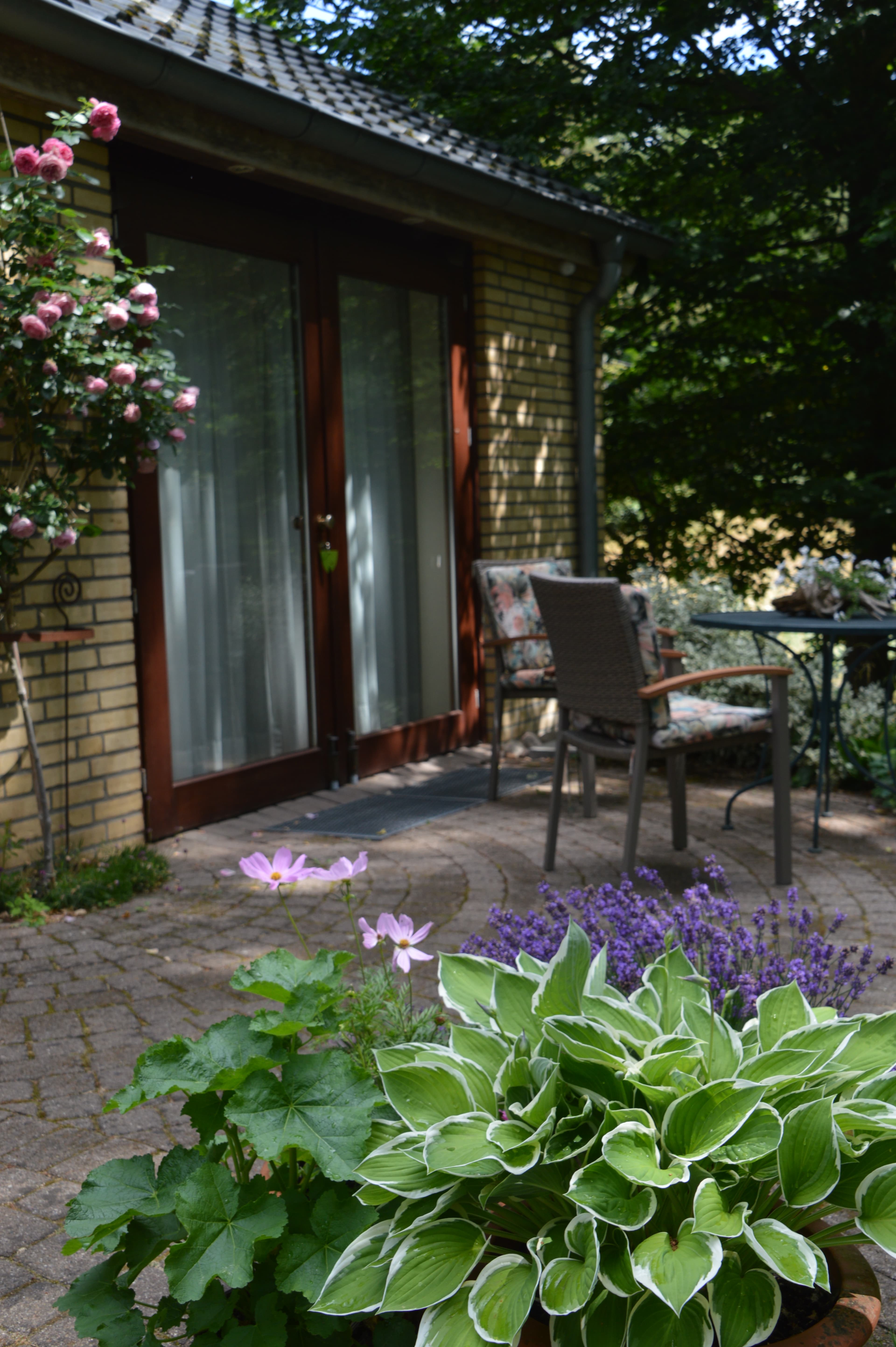 Eingang und Terrasse