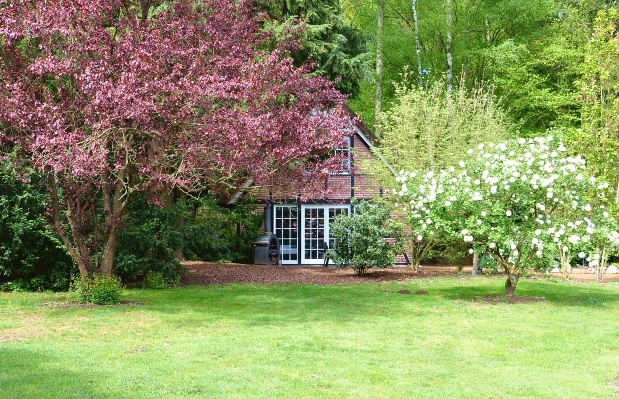 Garten im Lieblingsplatzhotel Meinsbur Boutique Hotel