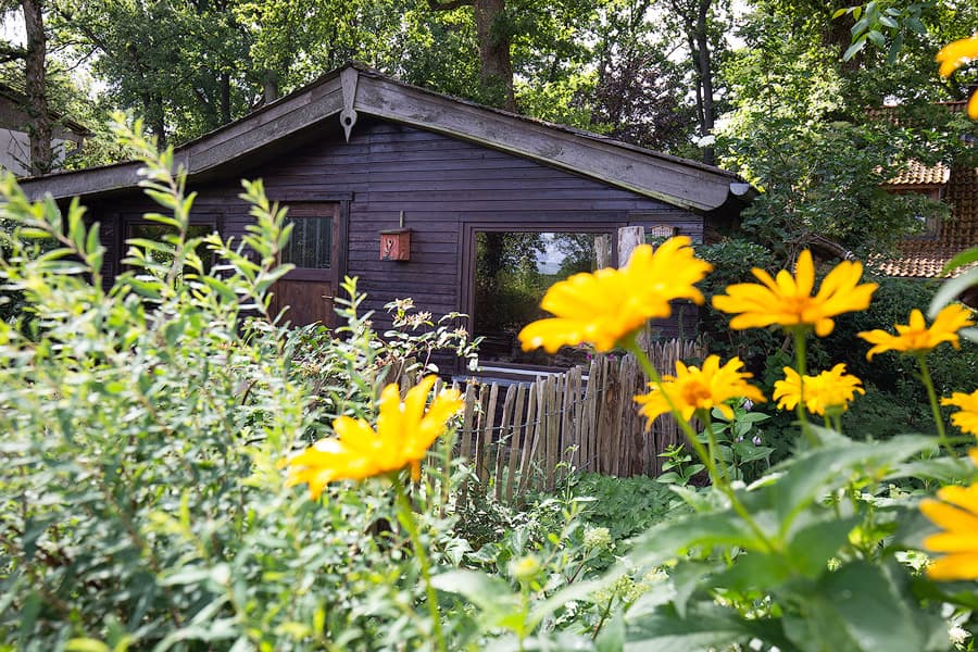 Ferienhaus Jagdhütte zum Heidebach Müden Örtze