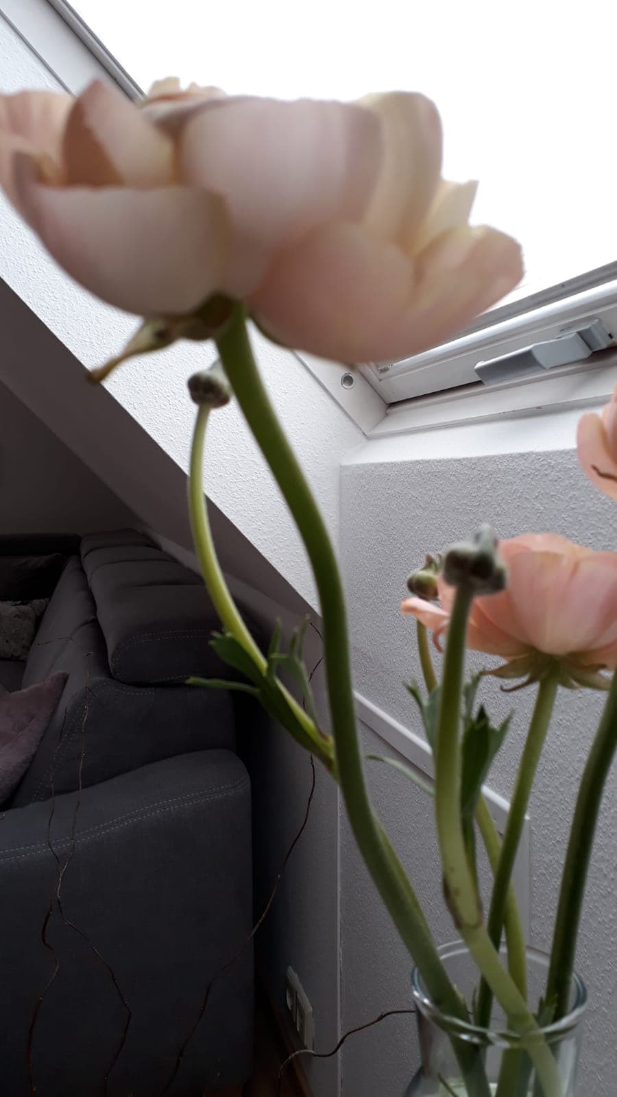 Ferienwohnung Weiße Wolke Wohnzimmer