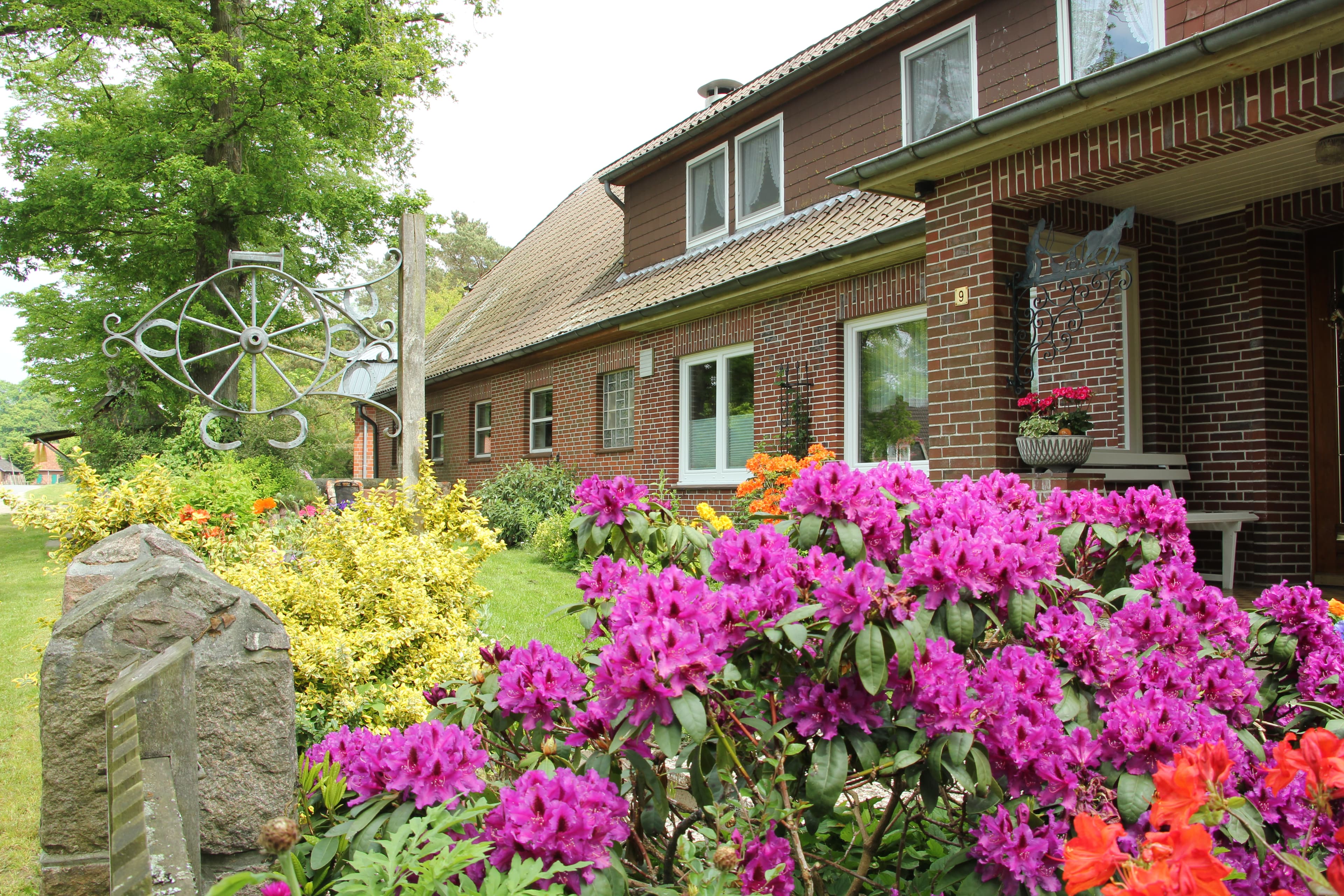 Wohnungen auch mit Hund sowie Pferdeboxen auf dem Hof Heitmann in Sahrendorf