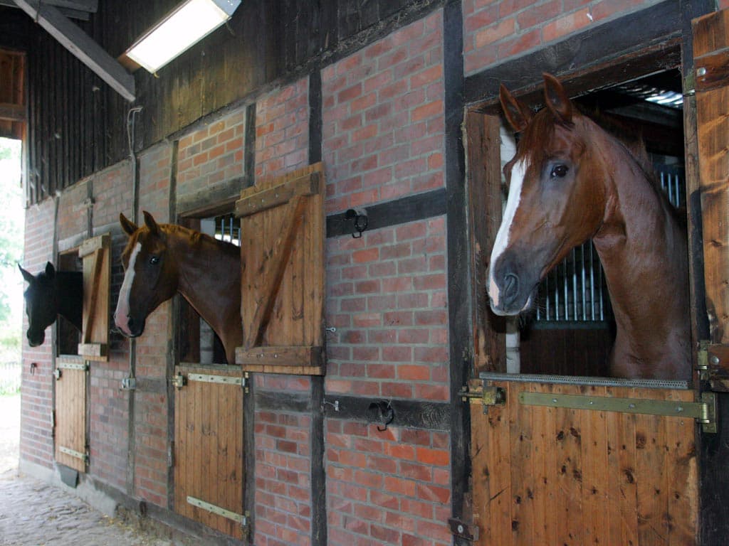 Pferdeboxen des Hof Heitmann in Sahrendorf