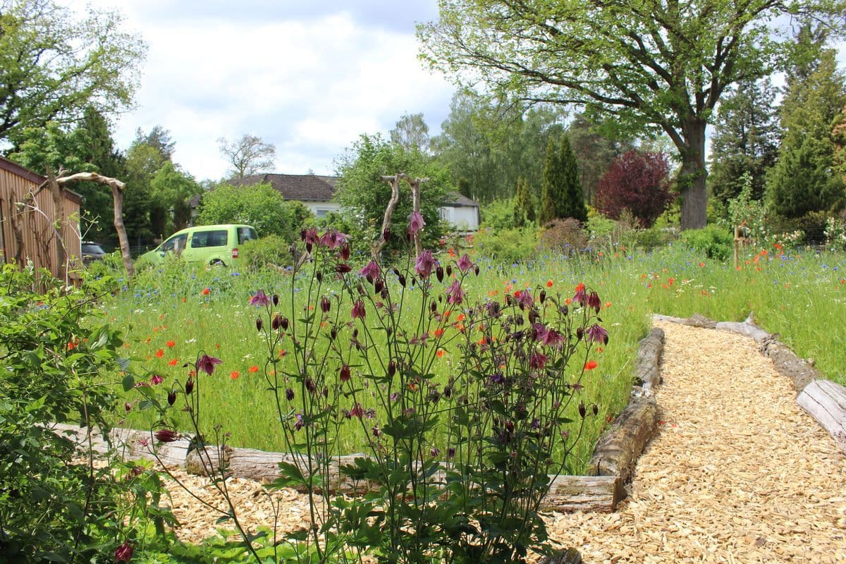 Eingang zum Ferienhaus Am Wegesrand Müden Örtze