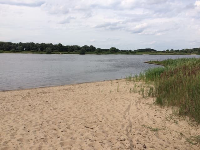 Elbestrand bei der Ferienwohnung Mühlenkate in Hittbergen