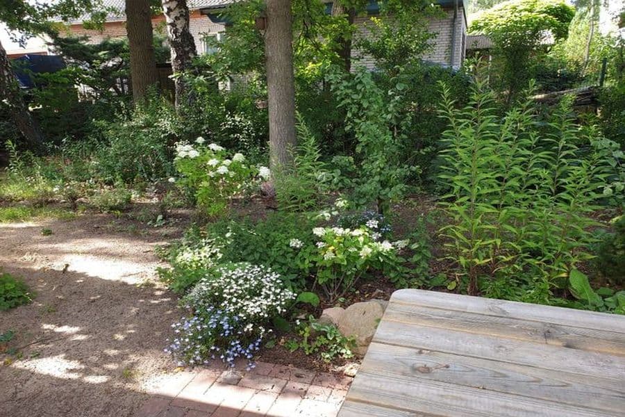 Garten des Apartment Heideland in Buchholz