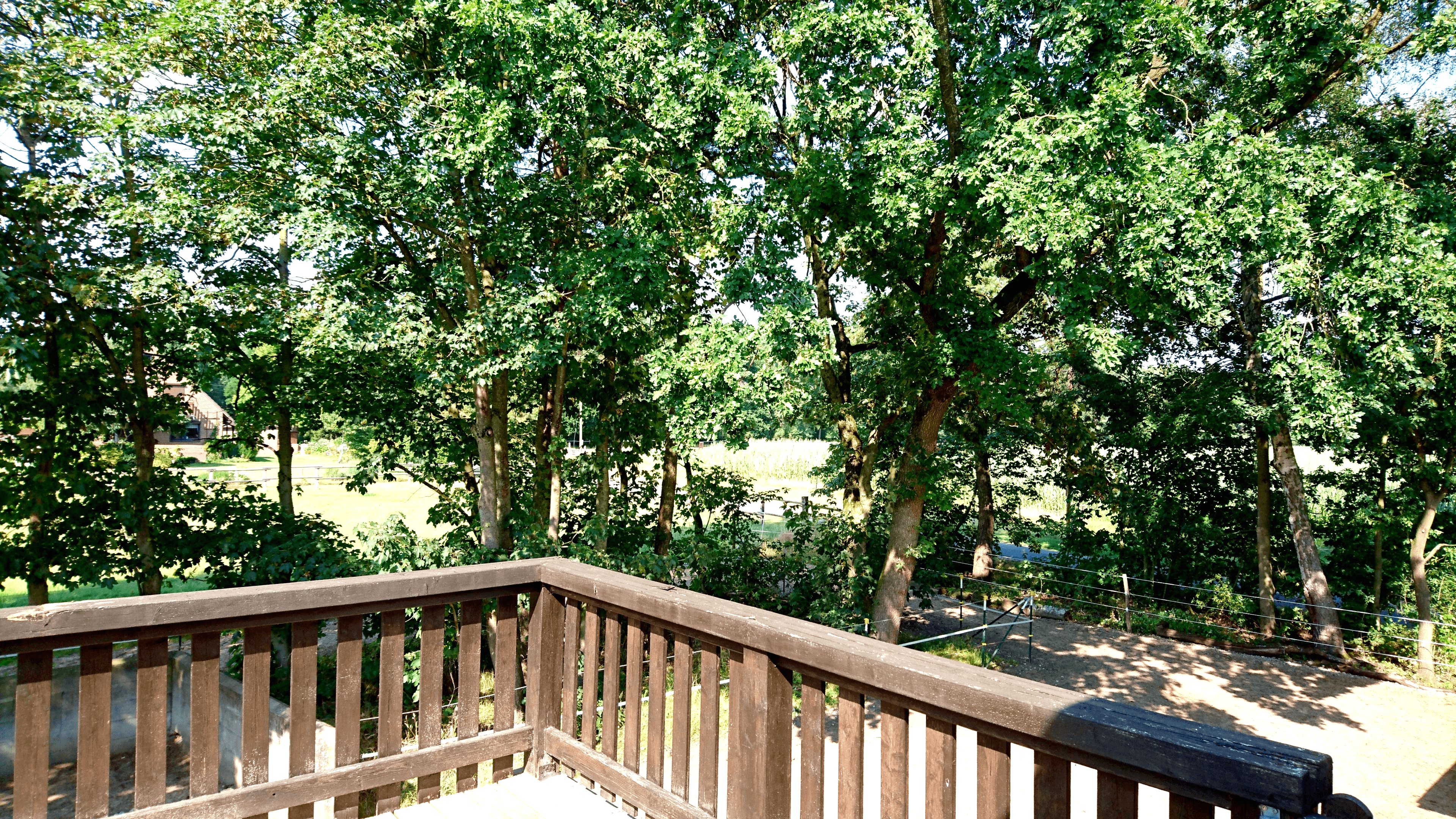 Ausblick von der Dachterrasse der Ferienwohnung "Über dem Stutenstall" in Soltau