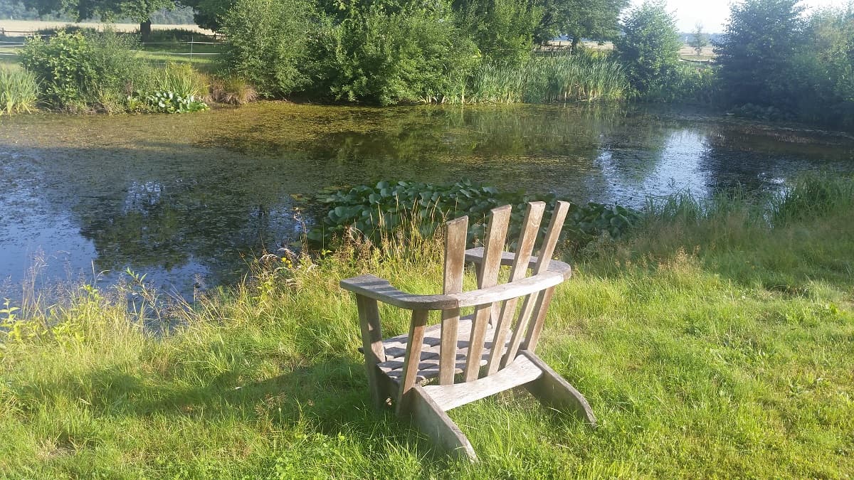 Ruhe genießen am Teich an der Pension am Blauen Waldpfad