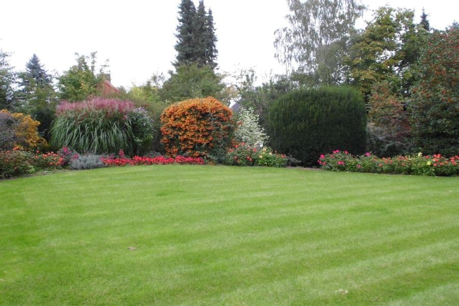 Der Ausblick aus dem Schlafzimmer 1 der Ferienwohnung Wildung in Lüneburg.