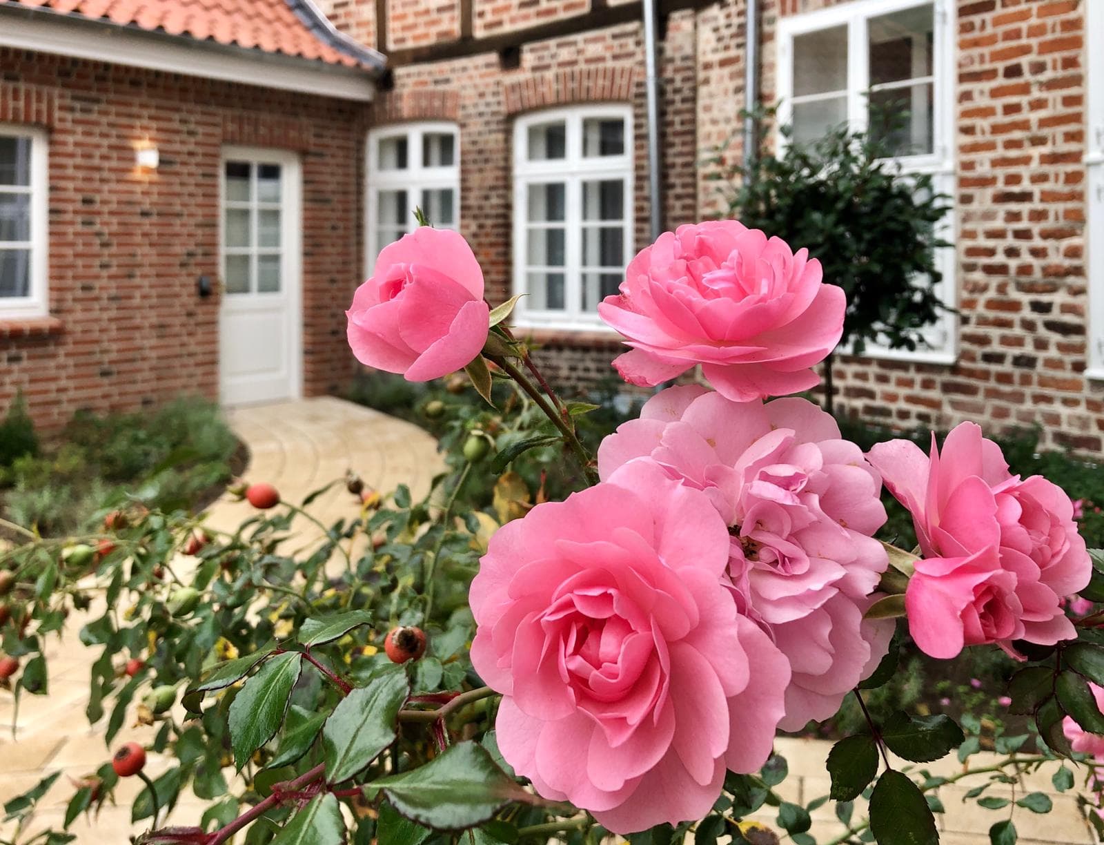 Hotel Wyndberg Lüneburg Außenbereich