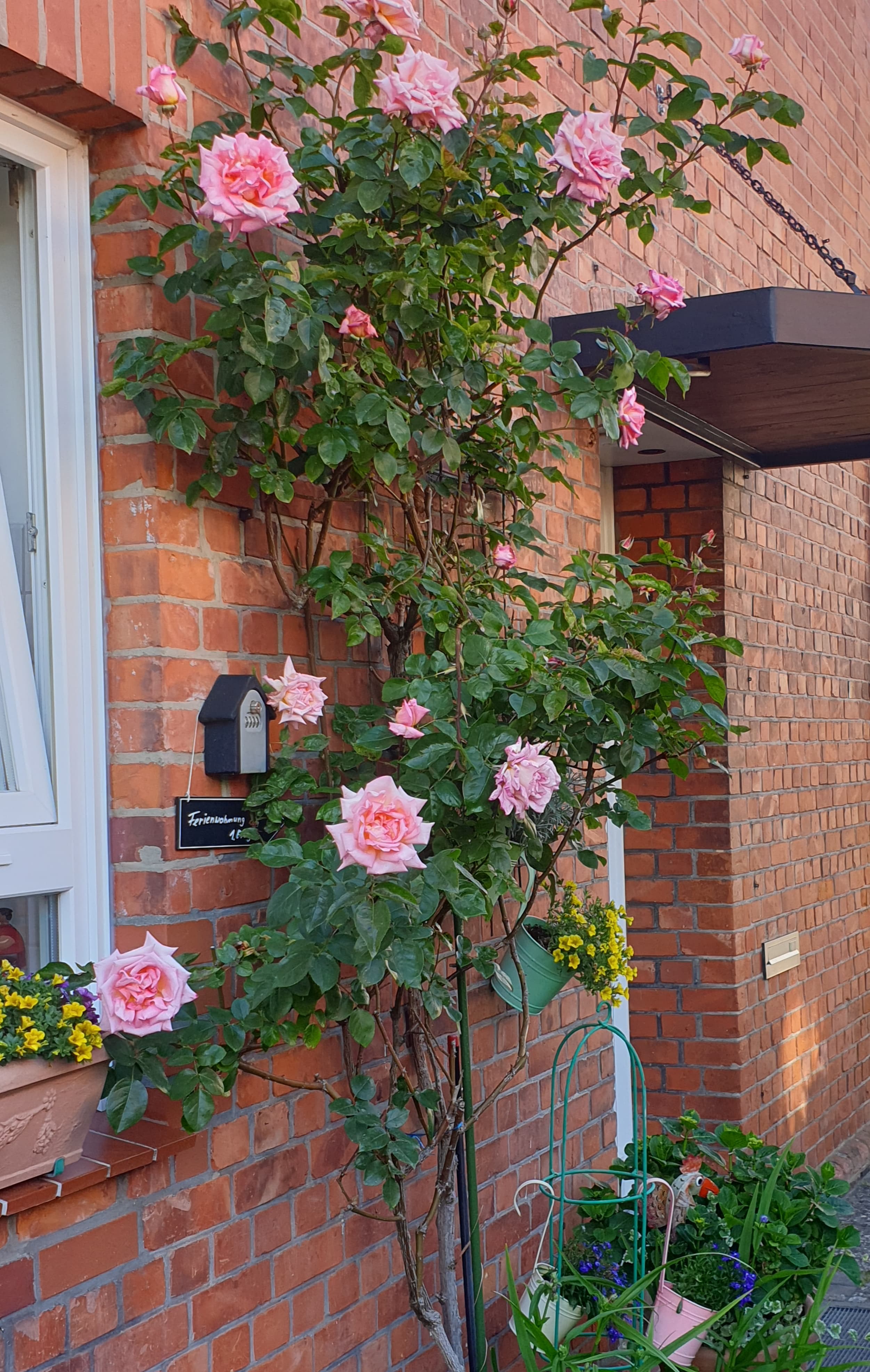 Hauseingangstür der Ferienwohnung Zerbe in Lüneburg