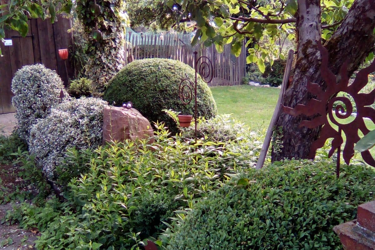 Garten der Ferienwohnung Facettenreich in Bergen