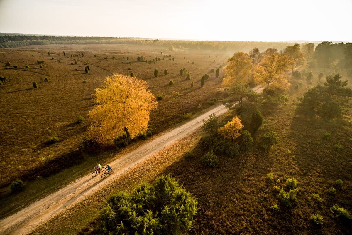 Misselhorner Heide bei Hermannsburg im Herbst in der Lüneburger Heide