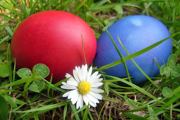 osterferien in der lüneburger heide, kurzurlaub zu ostern
