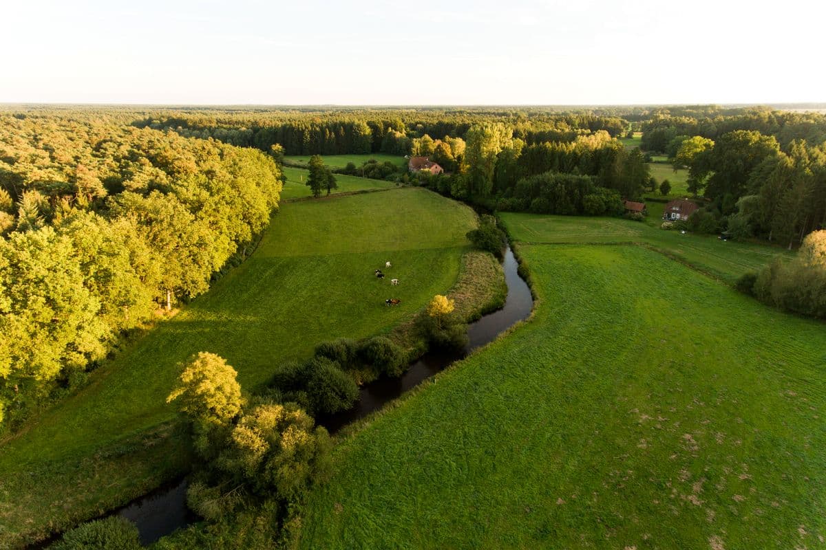 Luftaufnahme der Örtze Südheide