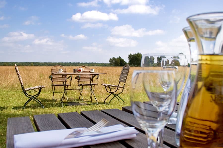 Restaurant Terrassse Hotel Camp Reinsehlen Blick in die Natur