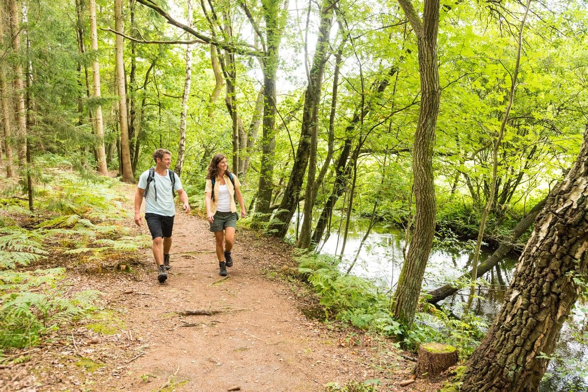Wanderung auf dem Fluss-Wald-Erlebnispfad