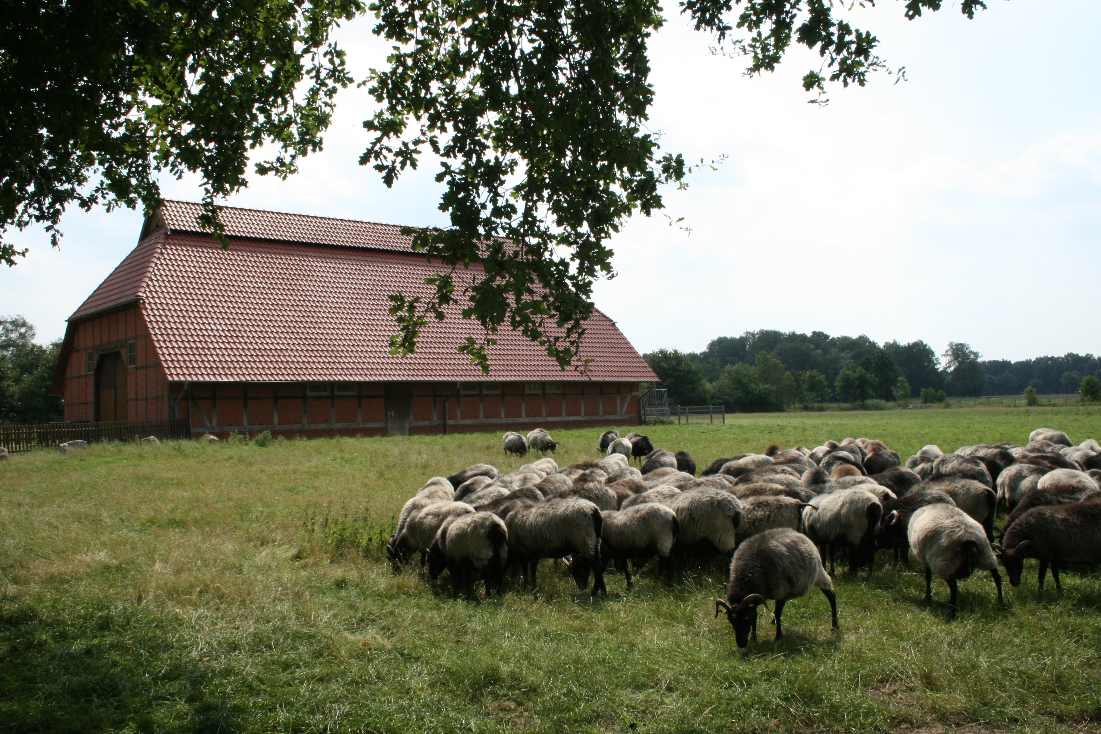 Wietze in der Südheide im Aller-Leine-Tal