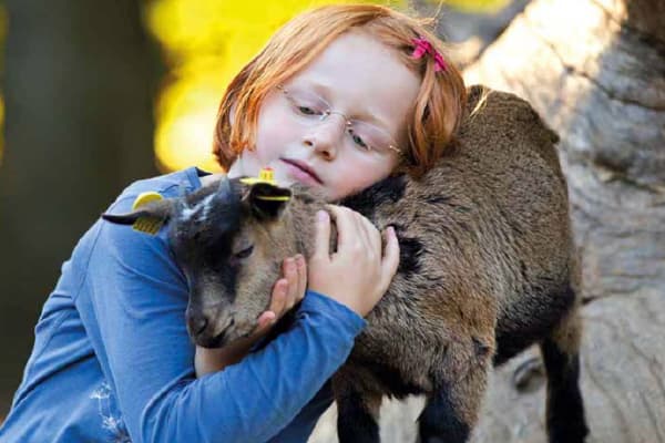 freizeitpark,erlebnispark,heide,park,heidepark,heide-park,vogelpark,vogel-park,soltau,walsrode,serengeti,serengeti-park,hodenhagen,wildpark,lüneburger,heide,schwarze,berge,snow dome,ski,halle,kart,bahn,ralf,schumacher,das,verrückte,haus,barfusspark,egestorf,bispingen,eschede,filmtierpark,filmtier,tierpark,zoo,tiere,löwen,tiger,familie,freizeit,ausflug,tagesausflug,kinder,kind,wochenende,kurzreise,kurztrip,erlebnis