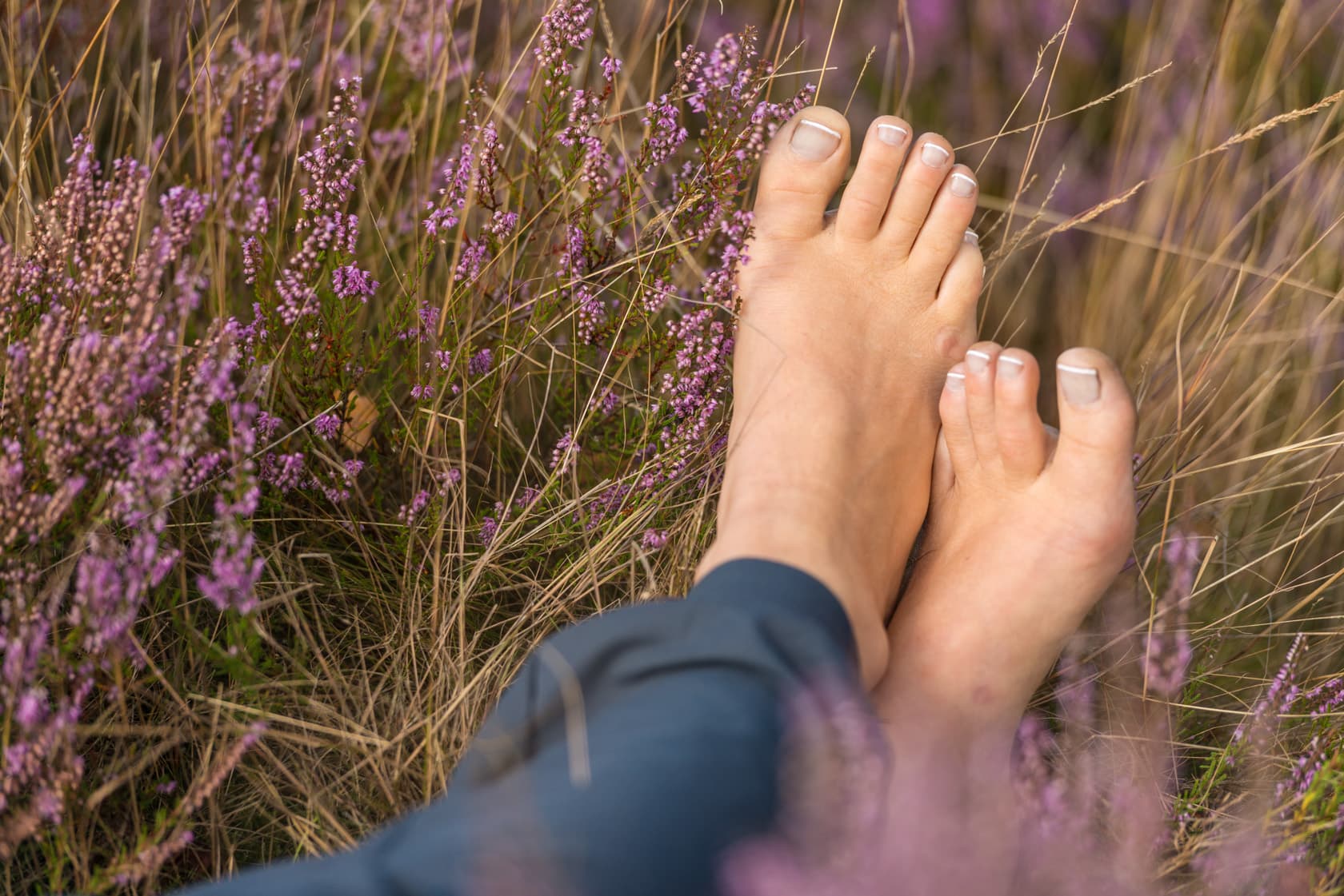 barfuss wandern durch die lüneburger heide