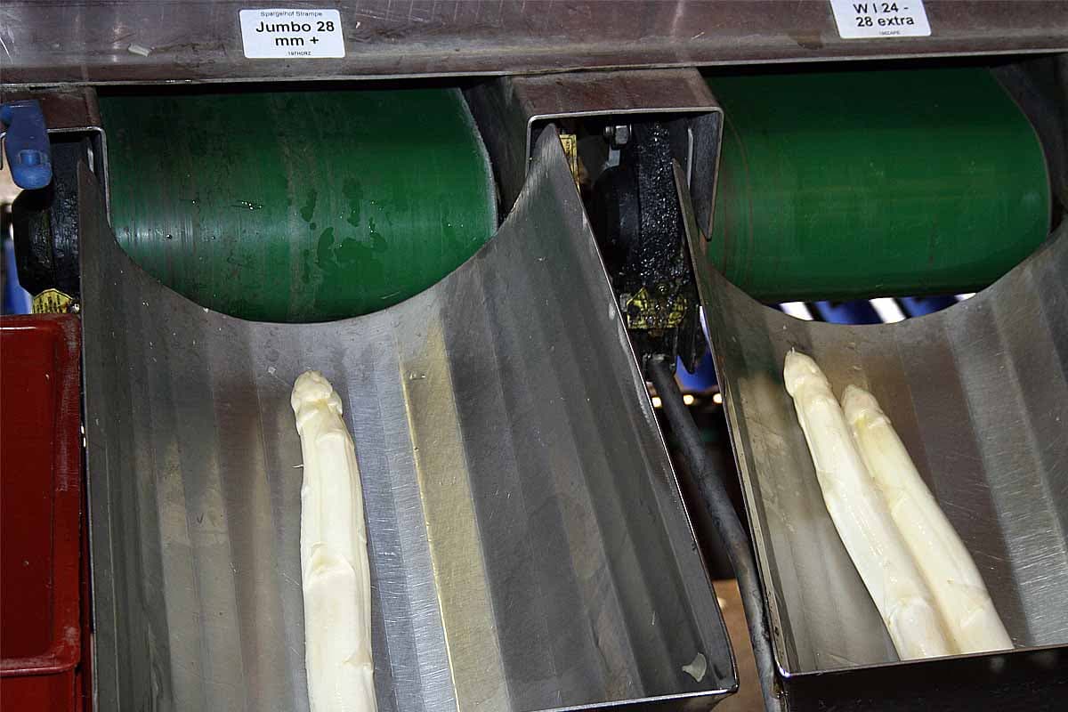 Spargel aus der Lüneburger Heide