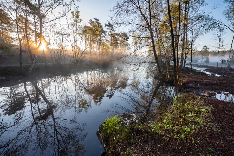 Büsenbachtal Sehenswürdigkeiten Lüneburger Heide