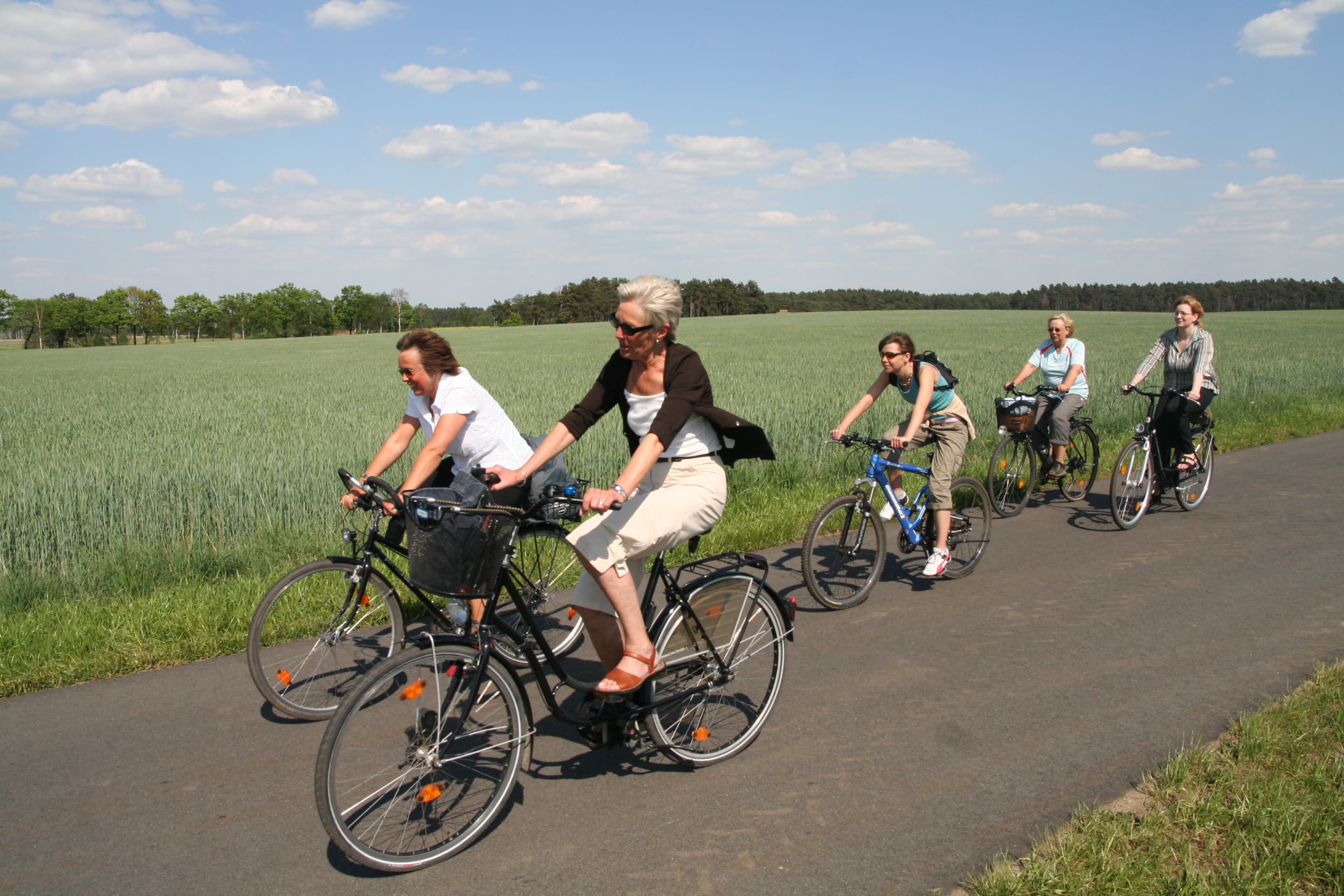 Entlang des Weser-Harz-Heide Radfernweg