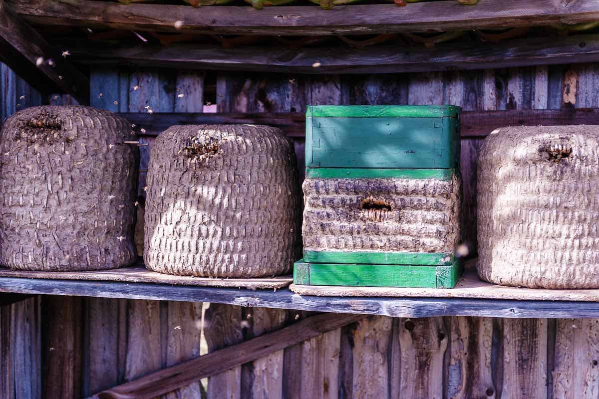 Heidehonig Lüneburger Heide