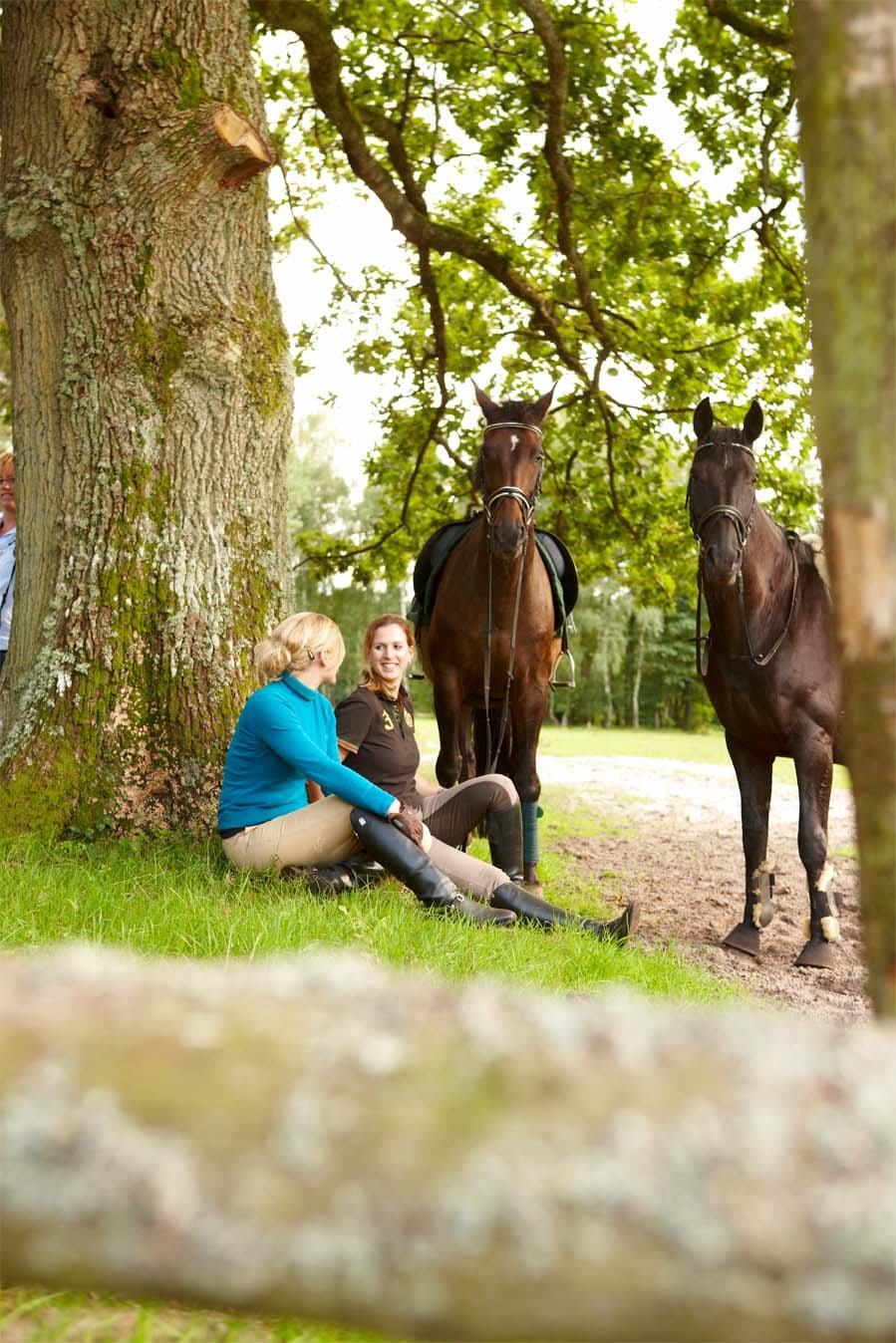 Reiten in der Lüneburger Heide